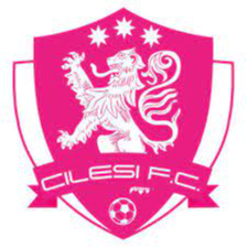 https://img.yuzhongpt.com/img/football/team/7aa0eae9d284e6aab302a00cb5107481.png